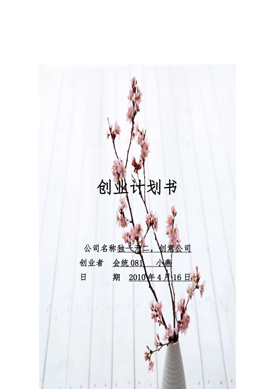 创意公司的创业项目计划书_第1页