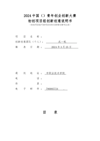 创新创意说明书