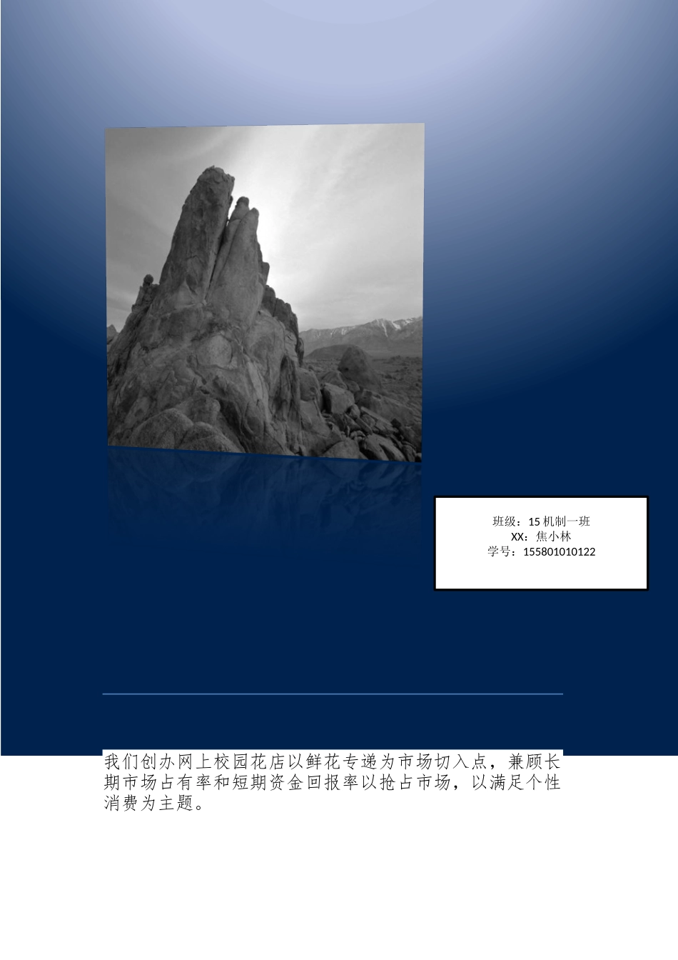 创新创业项目计划书_第1页
