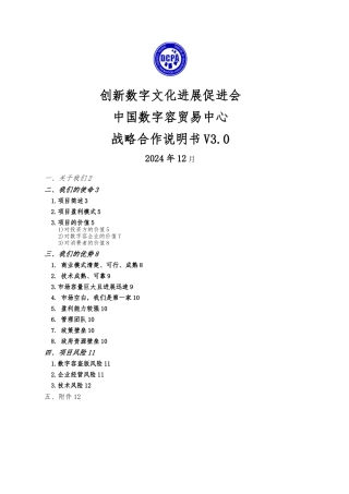 创新数字文化发展促进会战略说明书