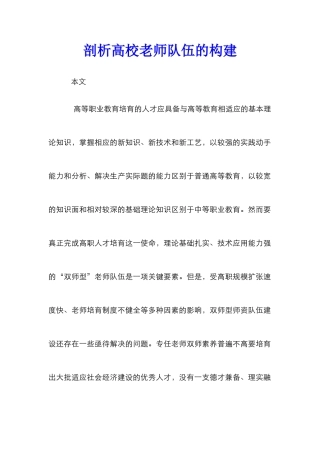 剖析高校教师队伍的构建