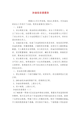 加油站自查报告