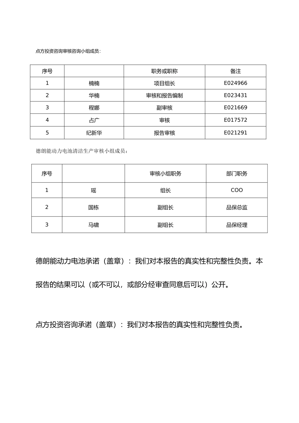 动力电池有限公司清洁生产审核报告_第2页