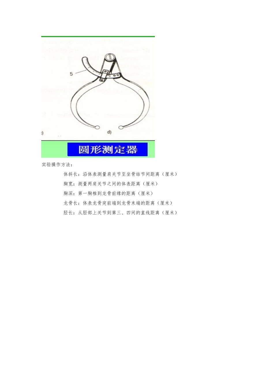 动物科学实习报告范本_第2页