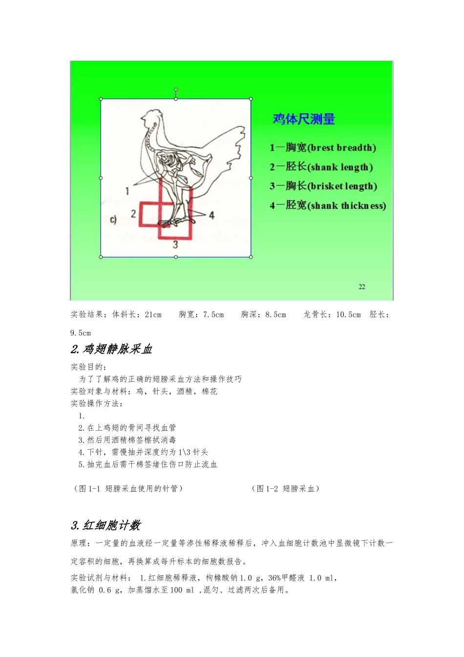 动物科学实习报告范本_第3页