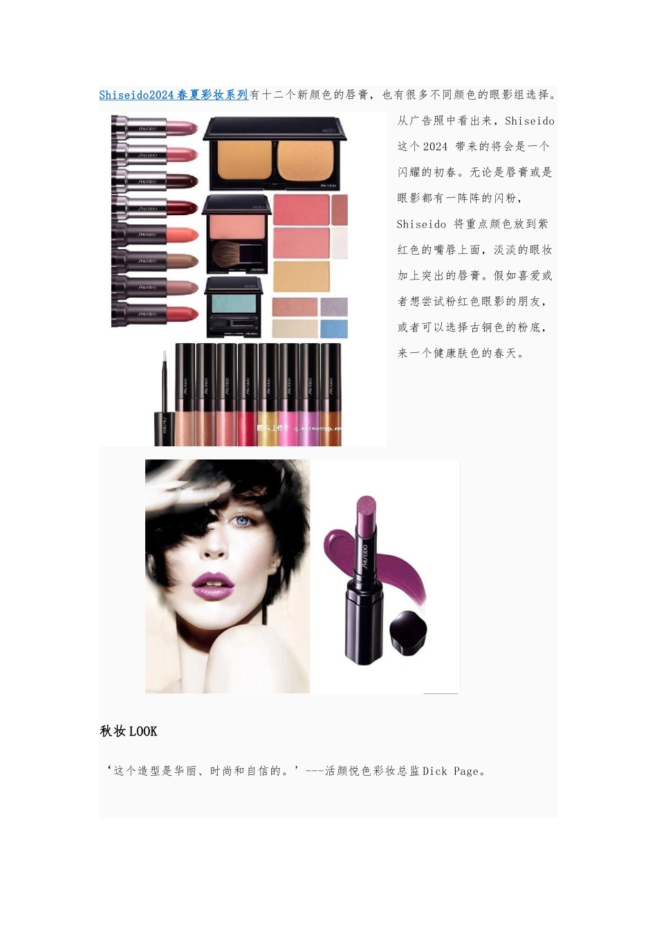 化妆品广告创意调研分析报告_第2页