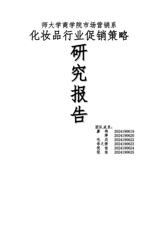 化妆品行业促销策略分析报告模版
