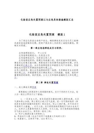 化验室应急处置预案以与应急具体措施模版汇总