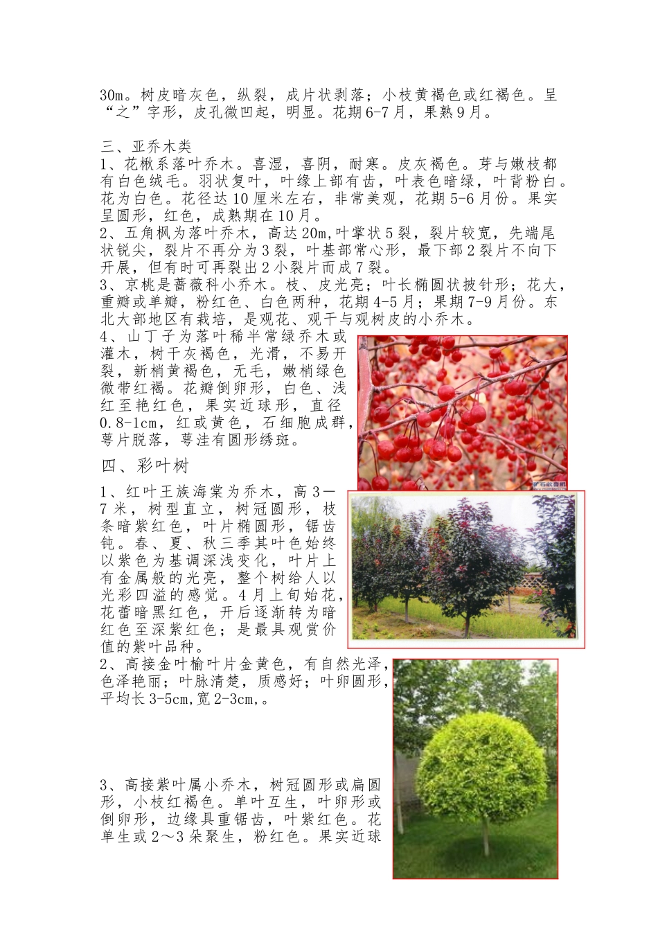 北方常见耐寒植物_第3页