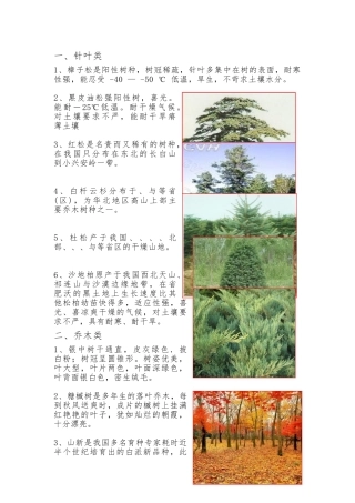 北方常见耐寒植物
