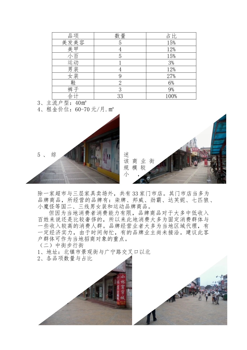 北镇市商业调查研究报告范本_第3页