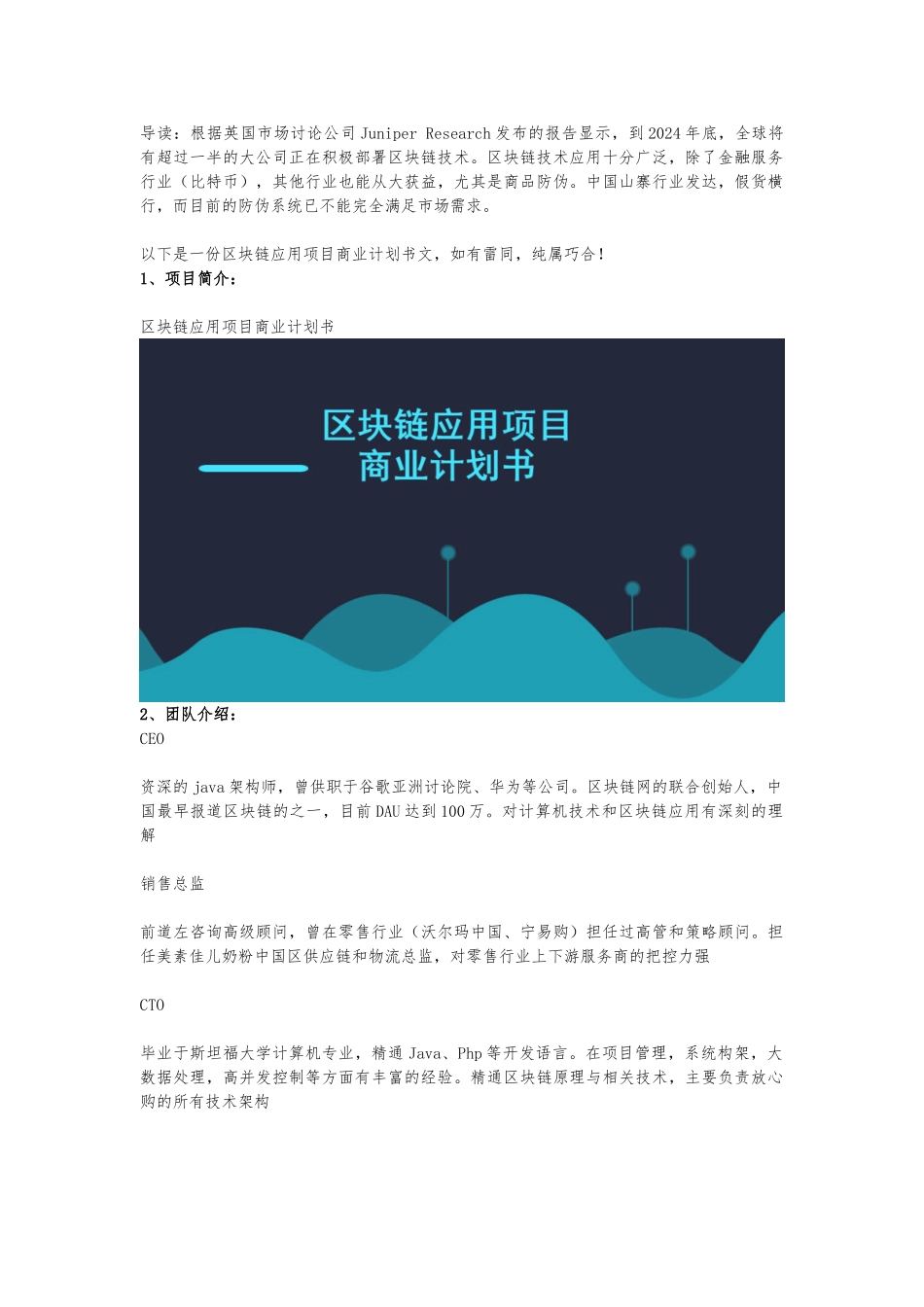 区块链应用项目商业实施计划书范文_第2页