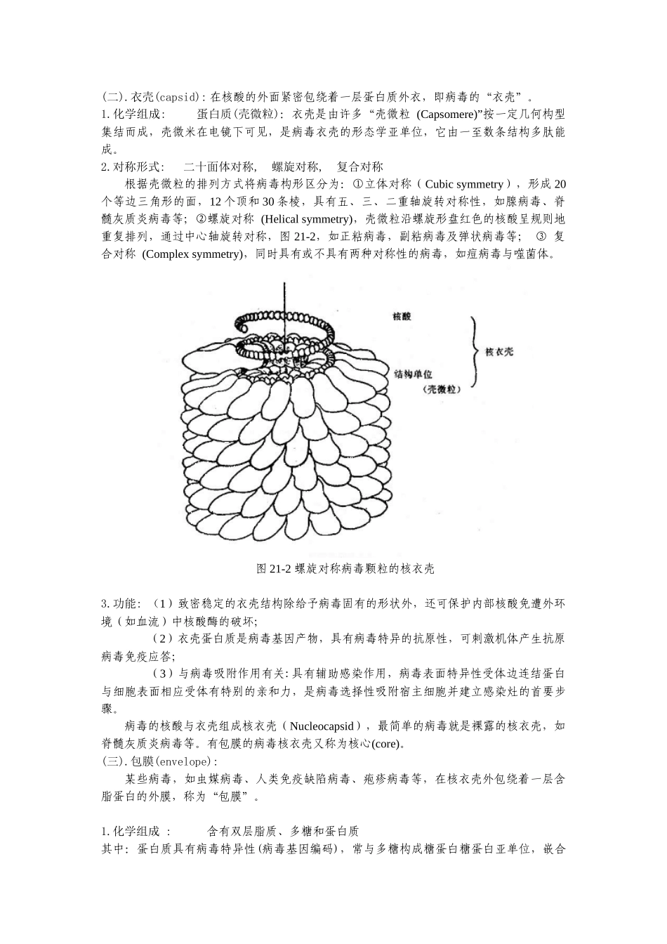 医学病毒学解析_第3页