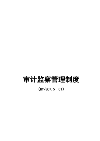 华宇集团审计管理制度