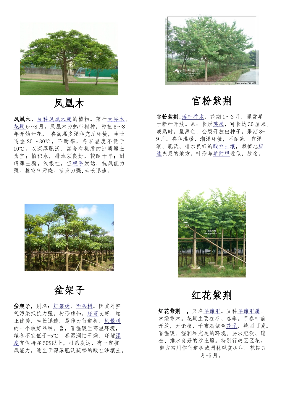 南方几种常见绿化植物的介绍_第1页