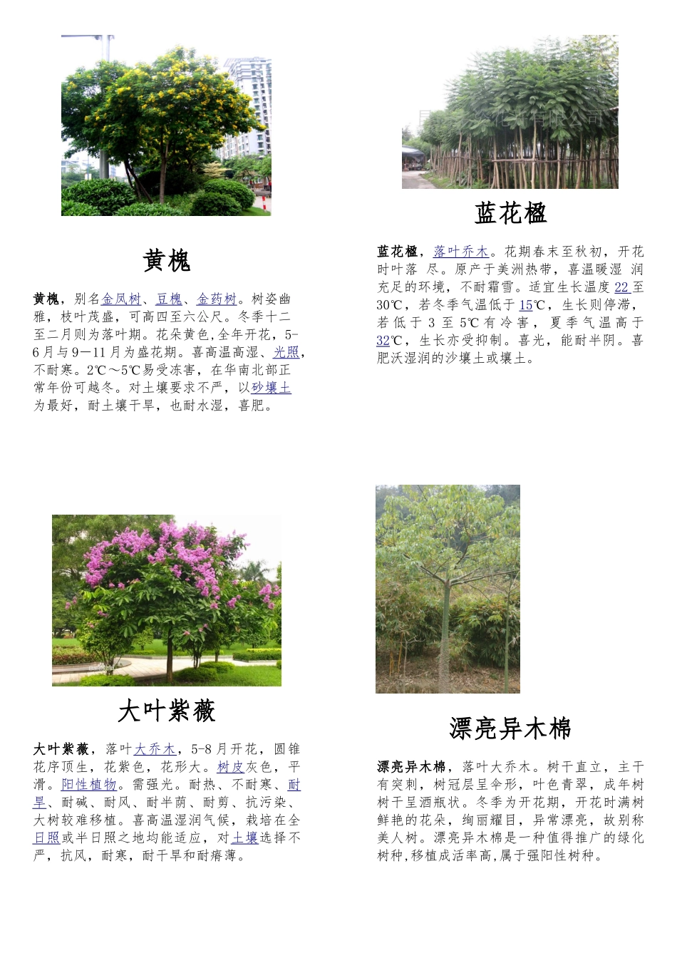 南方几种常见绿化植物的介绍_第2页