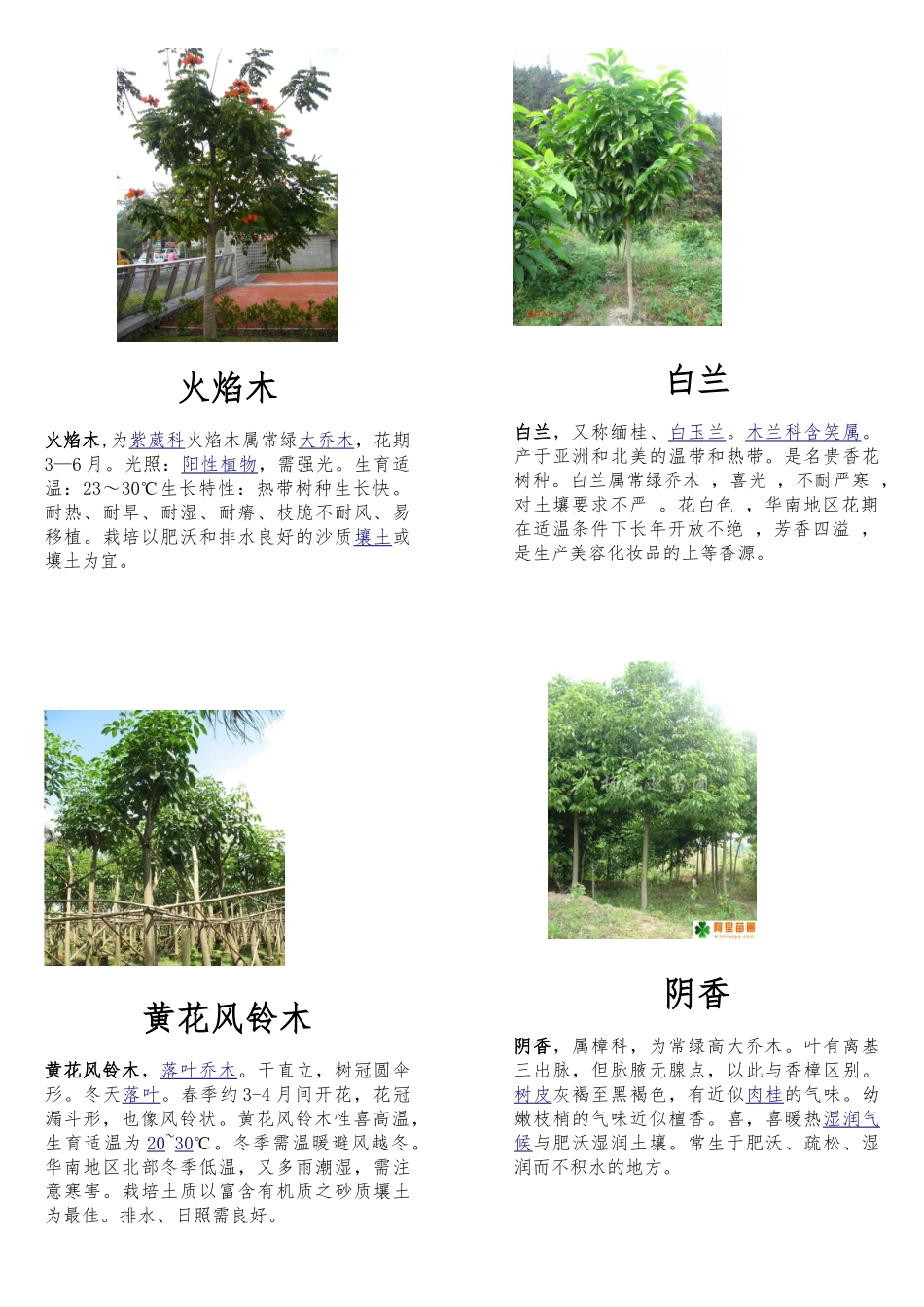南方几种常见绿化植物的介绍_第3页