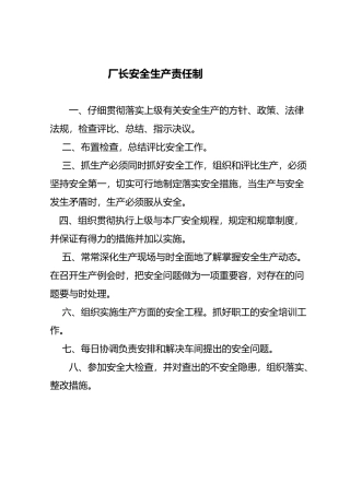 厂长安全生产责任制培训资料全
