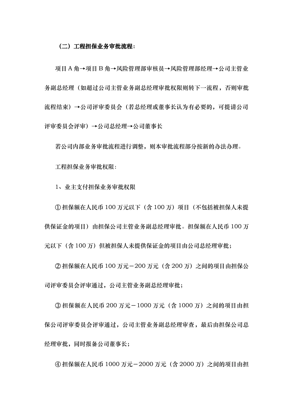 厦门某担保公司授权审批流程的指南_第2页