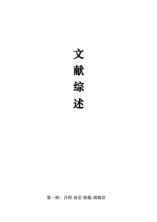发展型社会政策综述.doc