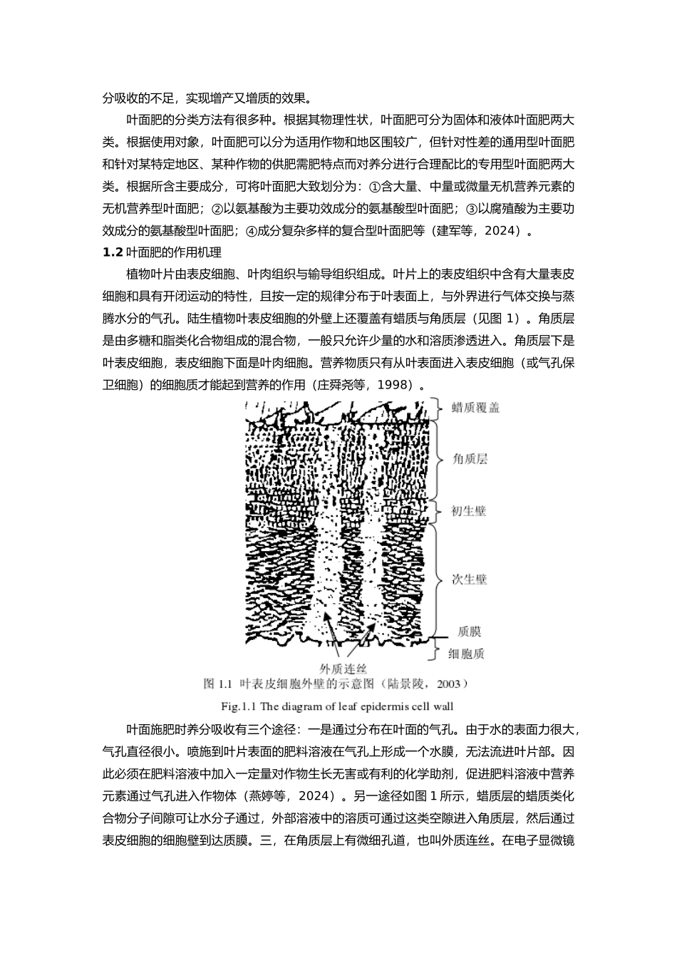 叶面肥加工工艺综述_第2页