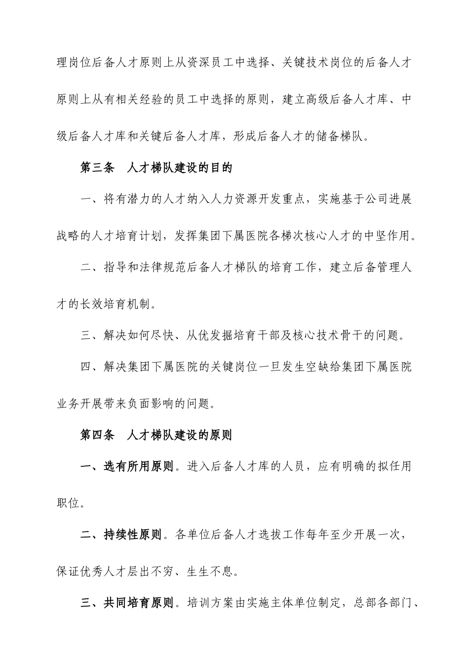后备人才梯队建设方案_第2页