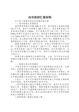 向市政府汇报材料
