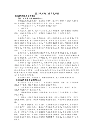 员工试用期工作自我评价