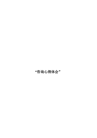 咨询业的心得体会