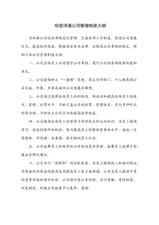 哈密泽通公司管理制度大纲