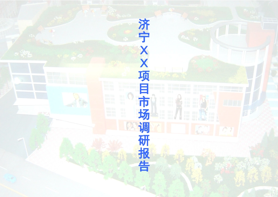 商业市场项目市场调研报告_第1页