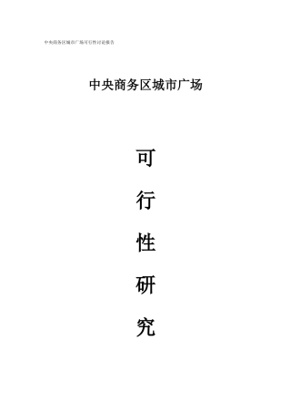 商务区城市广场可行性研究报告