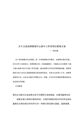 商务合作的实施计划书模板