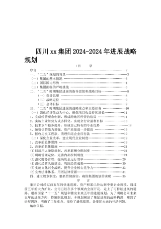 四川某集团发展战略规划