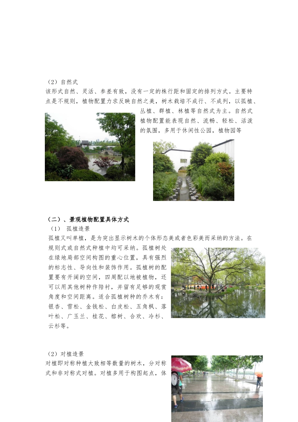 园林植物造景实习报告范本_第2页