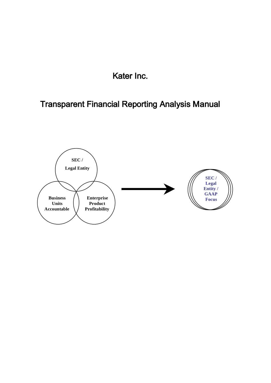 国外某公司财务分析手册全英文版_第1页