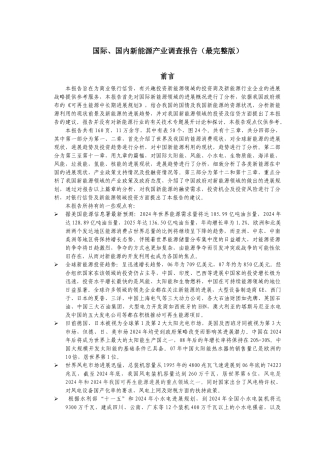 国际国内新能源产业调查报告