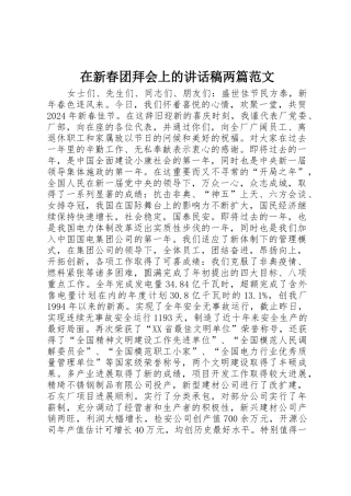 在新春团拜会上的讲话稿两篇范文