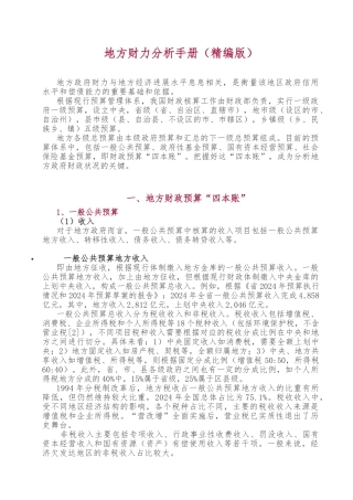 地方财力分析手册精编版