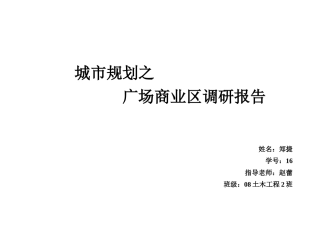 城市规划之广场商业区调研报告