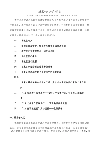 城投债研究报告