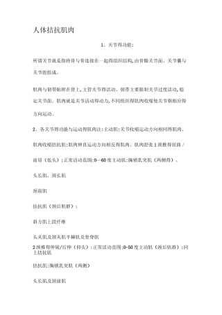 人体拮抗肌肉