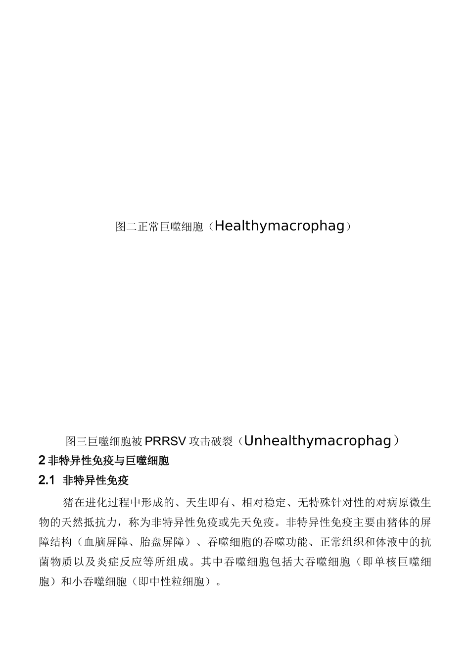 猪蓝耳病发病机理及提高非特异性免疫重要性_第2页