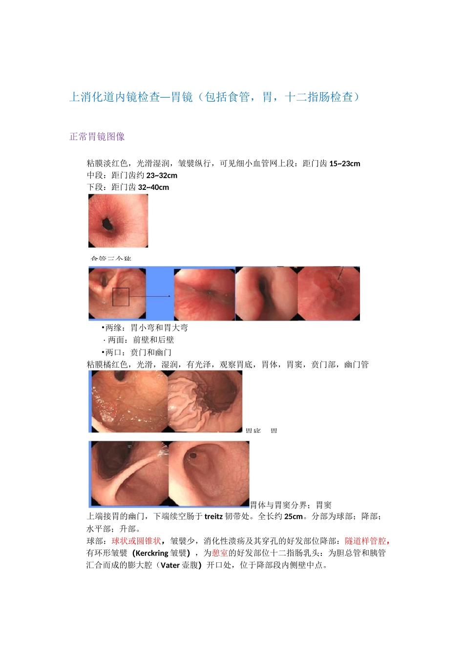 诊断学-内镜检查_第1页