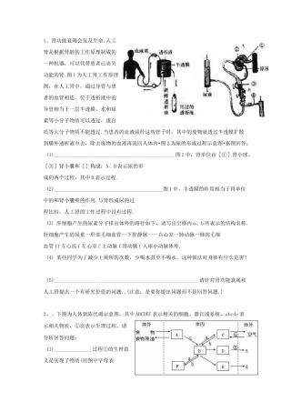 泌尿系统习题(含答案)