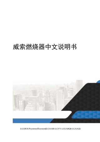 威索燃烧器中文说明书
