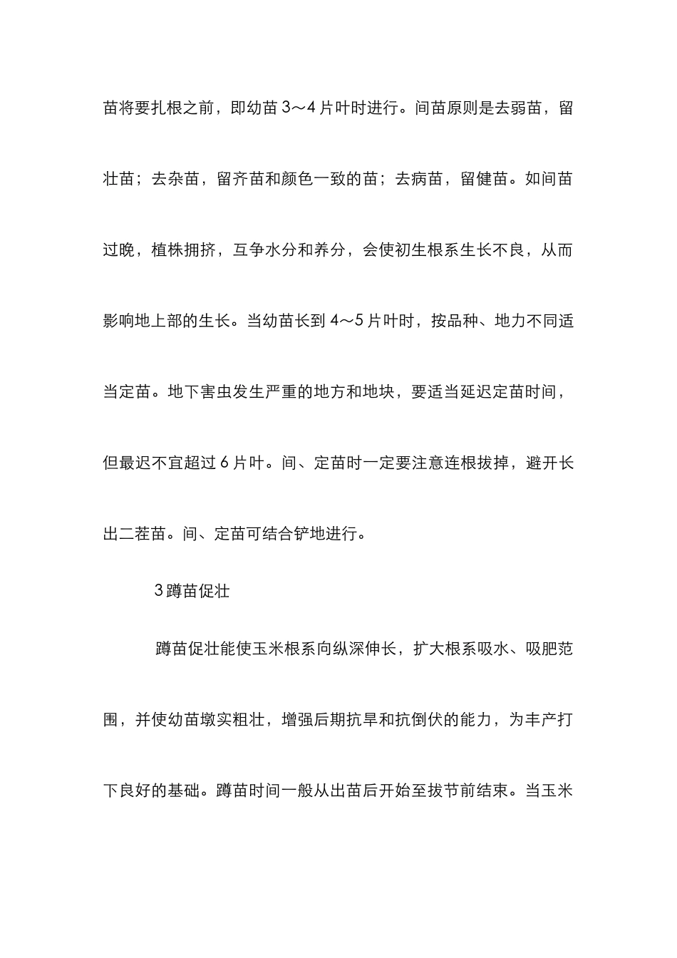 夏玉米田间管理_第2页