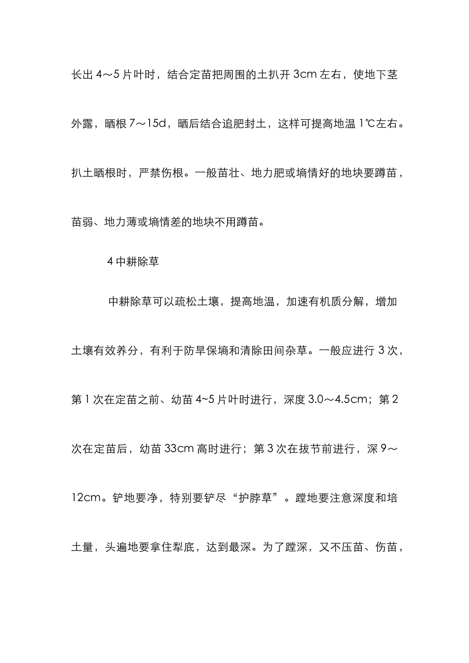 夏玉米田间管理_第3页