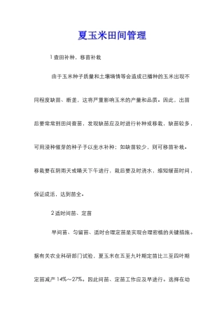 夏玉米田间管理