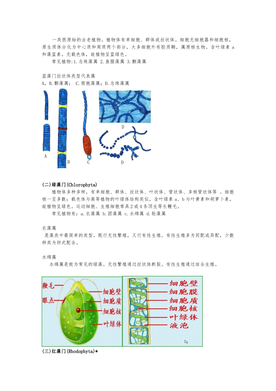 多姿多彩的植物世界_第2页